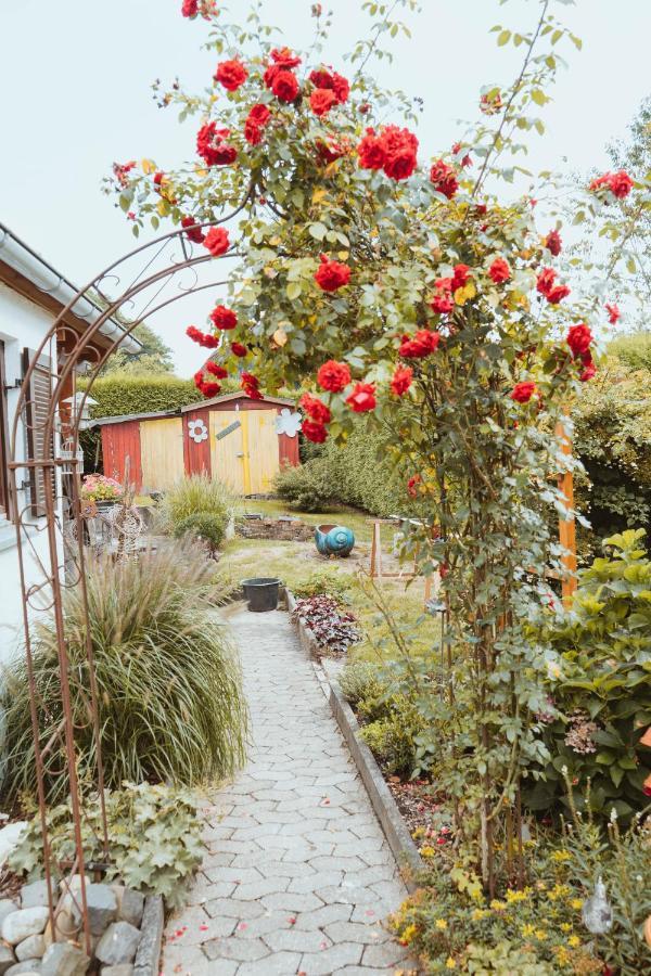 Ferienparadies Am Kammerberg - Ein Ganzes Haus Fuer Sie Alleine!!! Weißenhorn エクステリア 写真